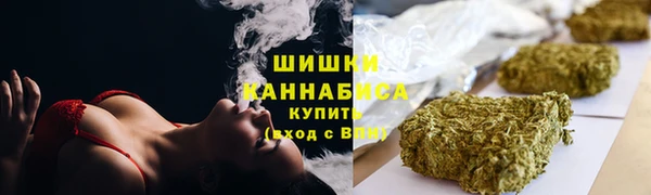 хмурый Мегион