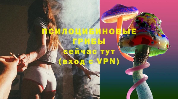 а пвп мука Бердск