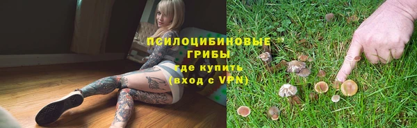 круглые Бронницы